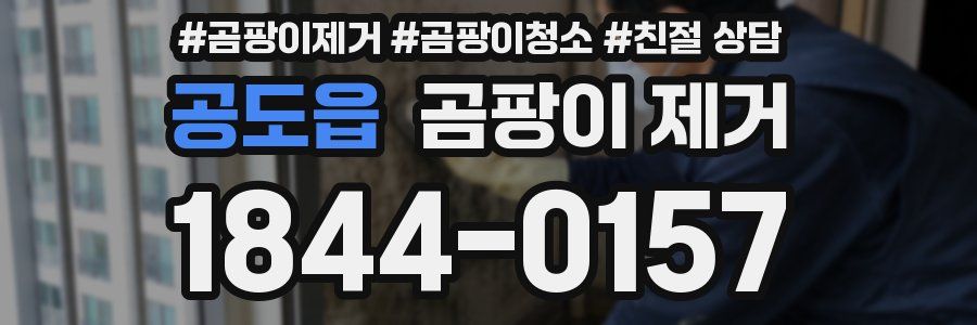 공도읍 곰팡이 제거