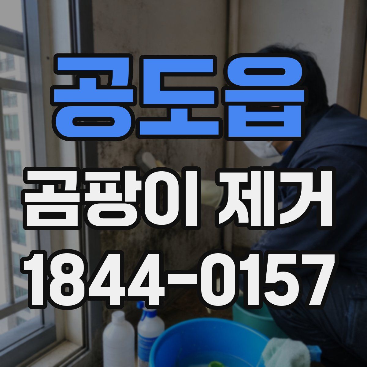공도읍 곰팡이 제거