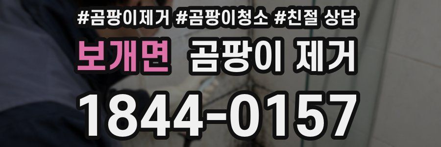 보개면 곰팡이 제거