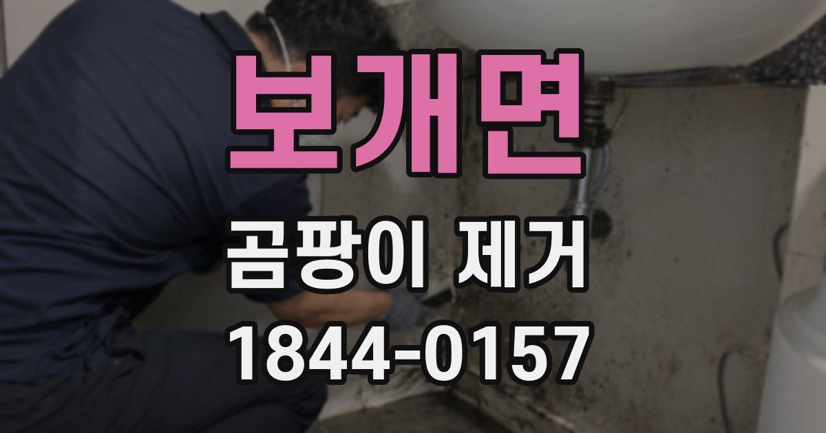 보개면 곰팡이 제거