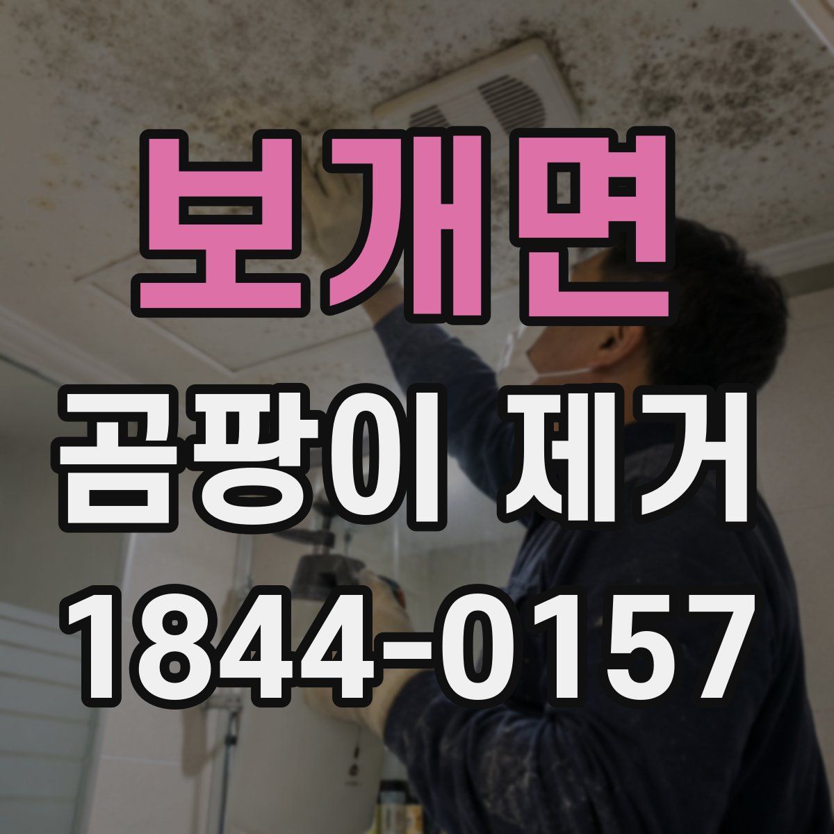 보개면 곰팡이 제거