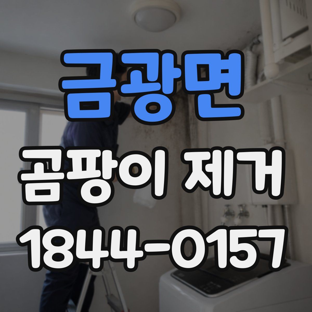 금광면 곰팡이 제거