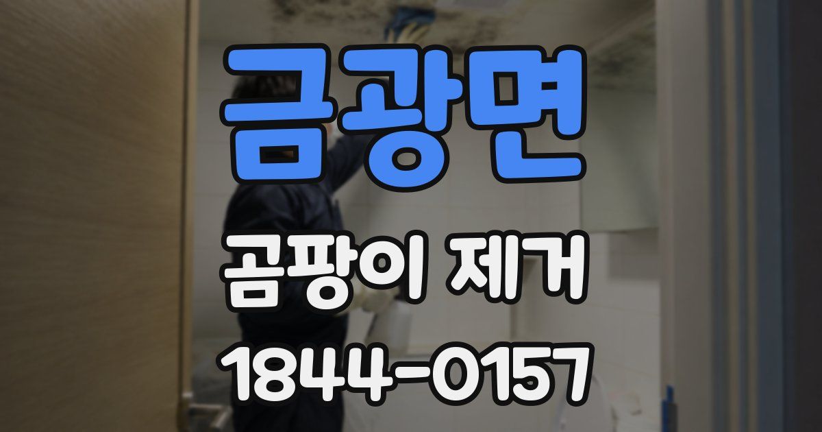 금광면 곰팡이 제거