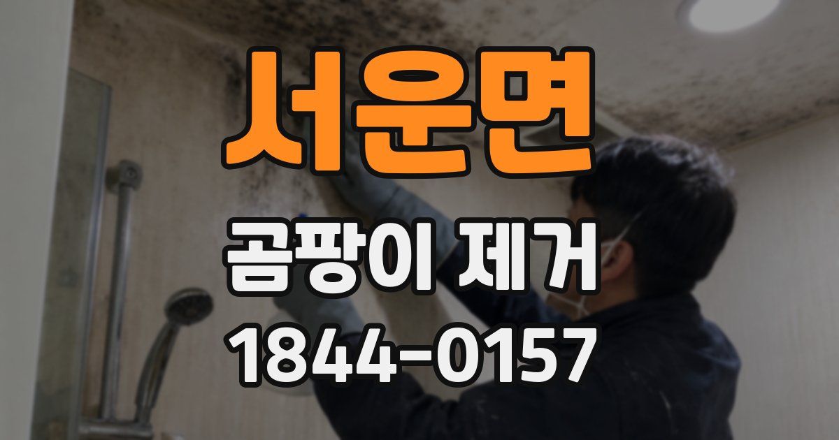 서운면 곰팡이 제거
