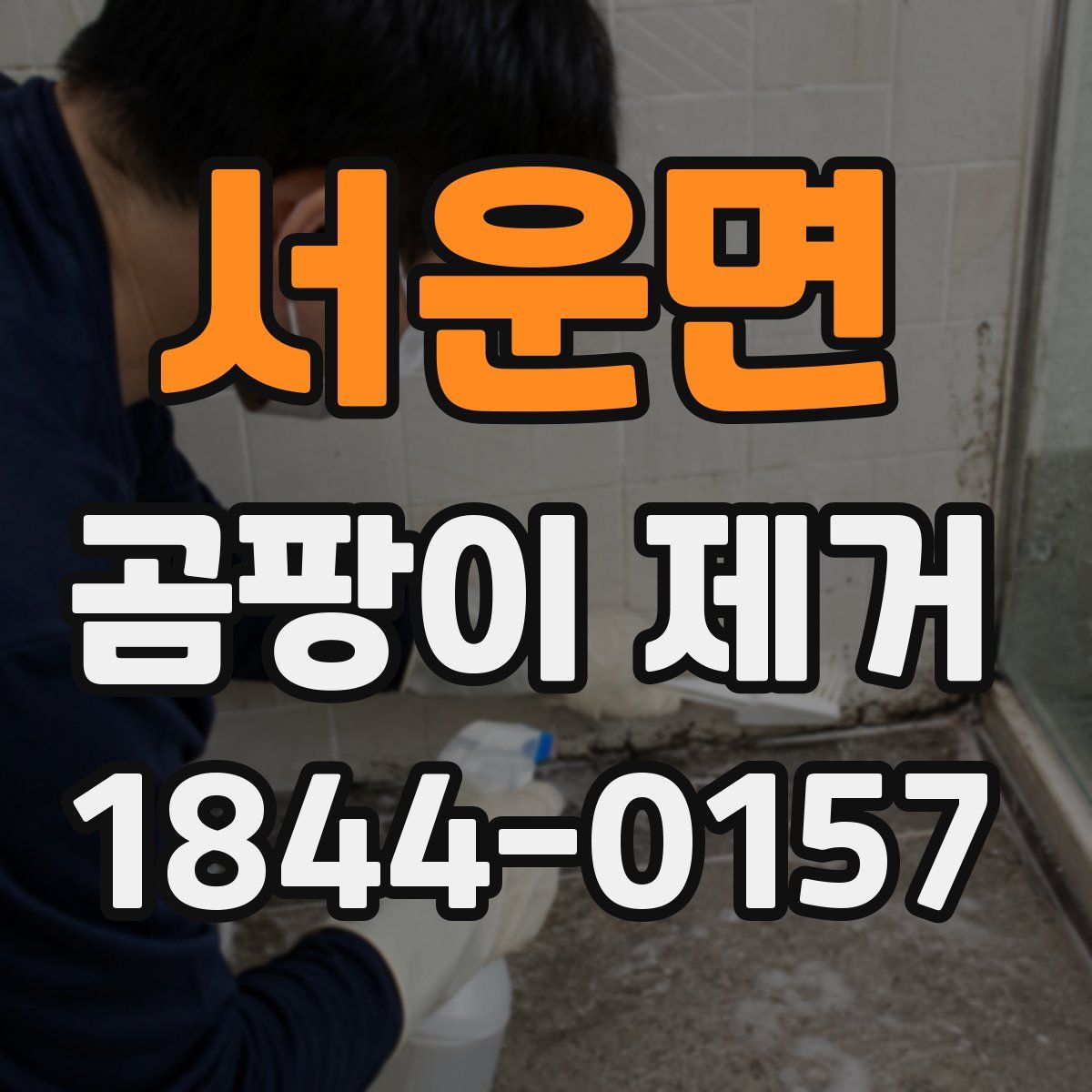 서운면 곰팡이 제거