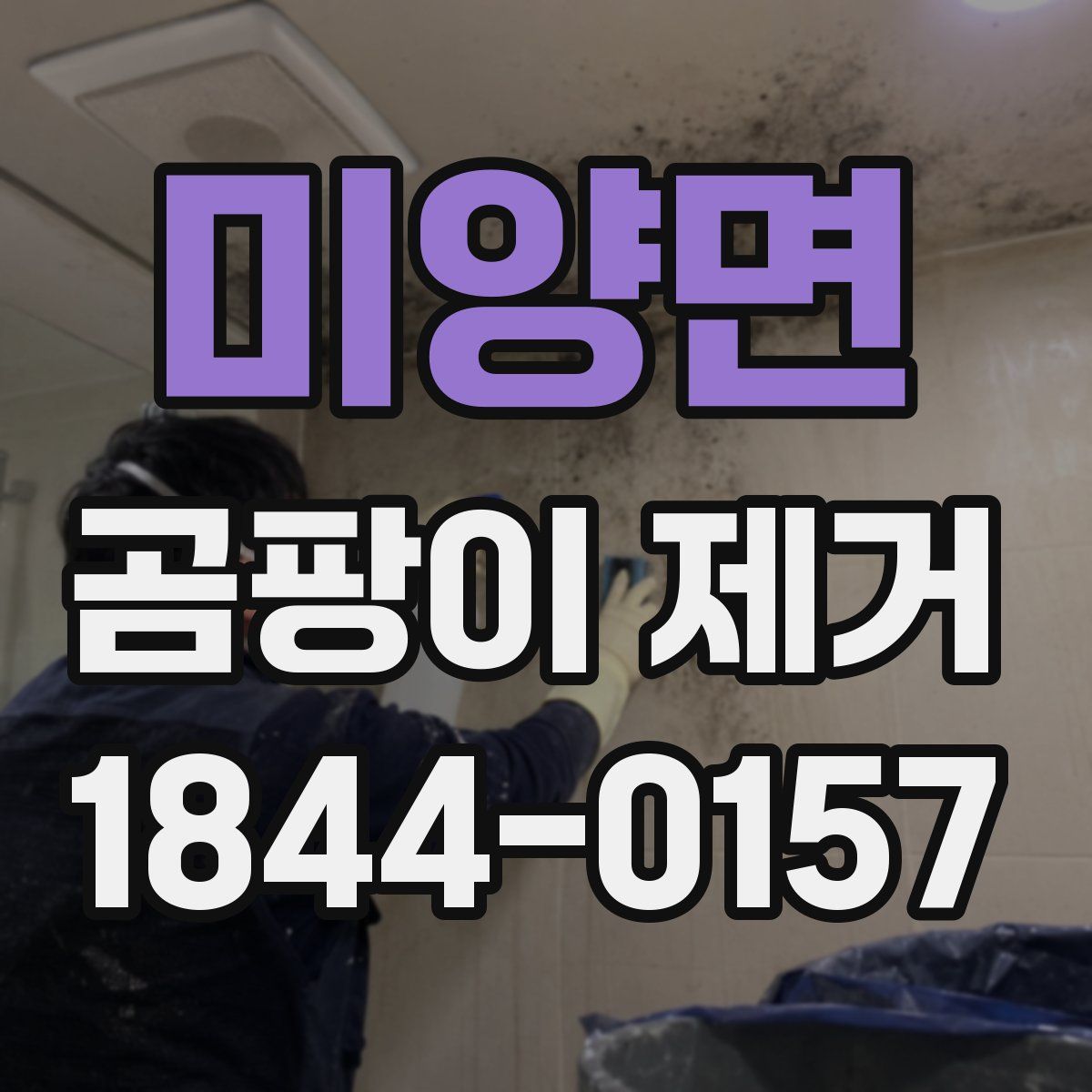 미양면 곰팡이 제거