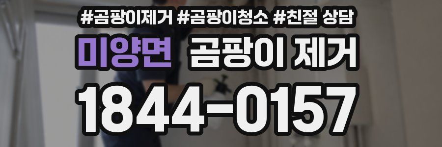 미양면 곰팡이 제거