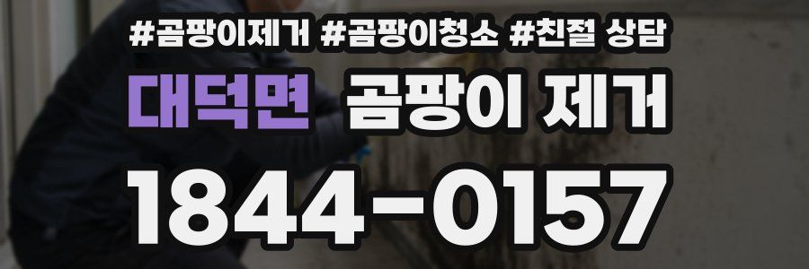 대덕면 곰팡이 제거