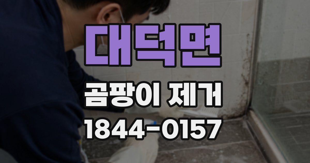 대덕면 곰팡이 제거