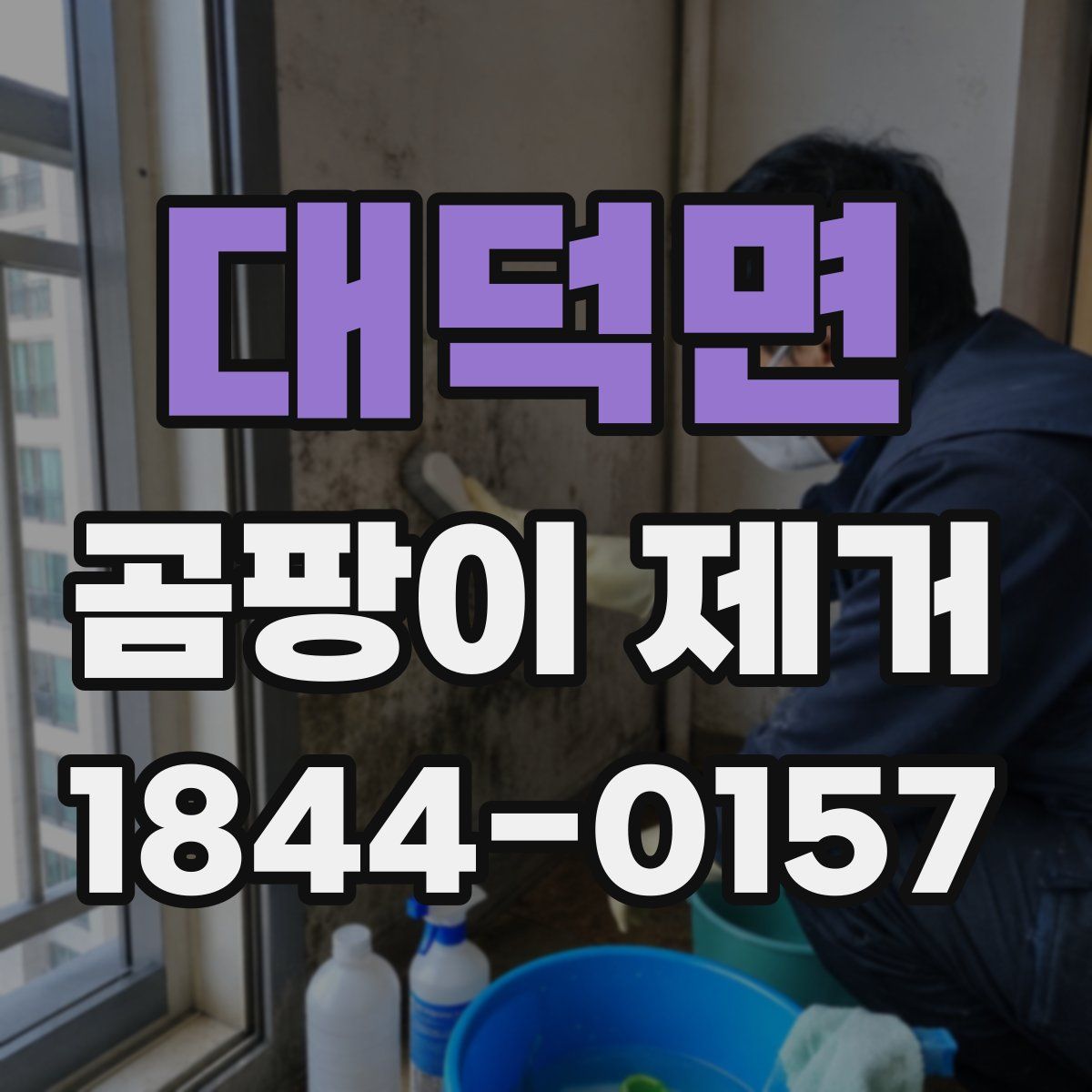 대덕면 곰팡이 제거