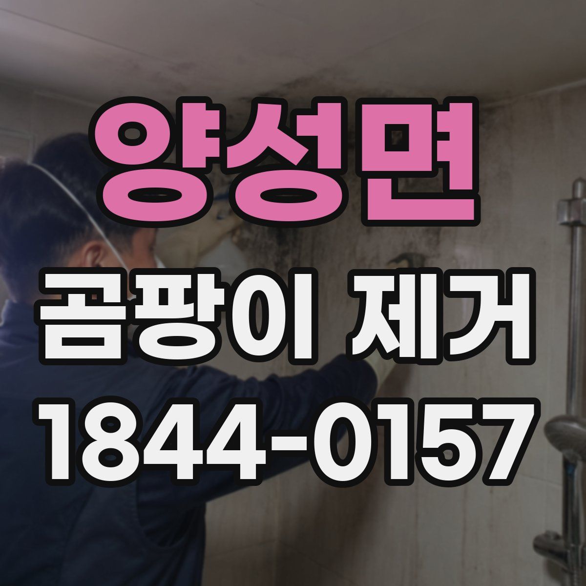 양성면 곰팡이 제거