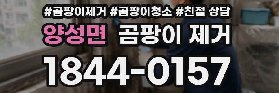 양성면 곰팡이 제거