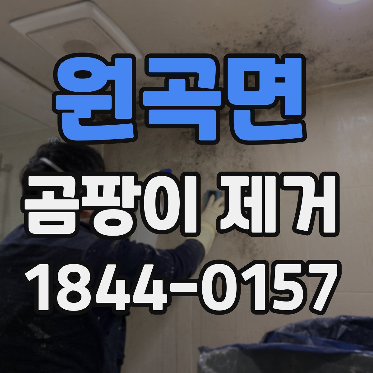 원곡면 곰팡이 제거