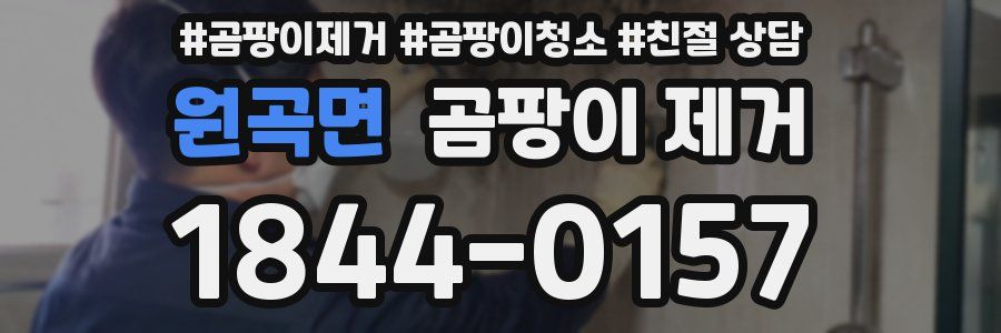 원곡면 곰팡이 제거