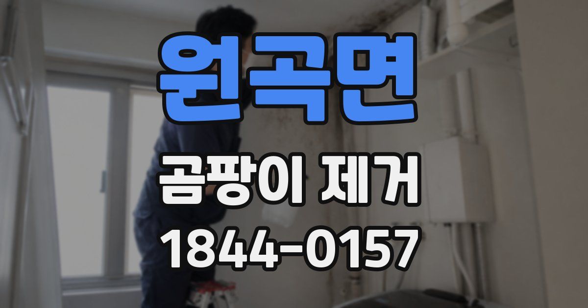 원곡면 곰팡이 제거
