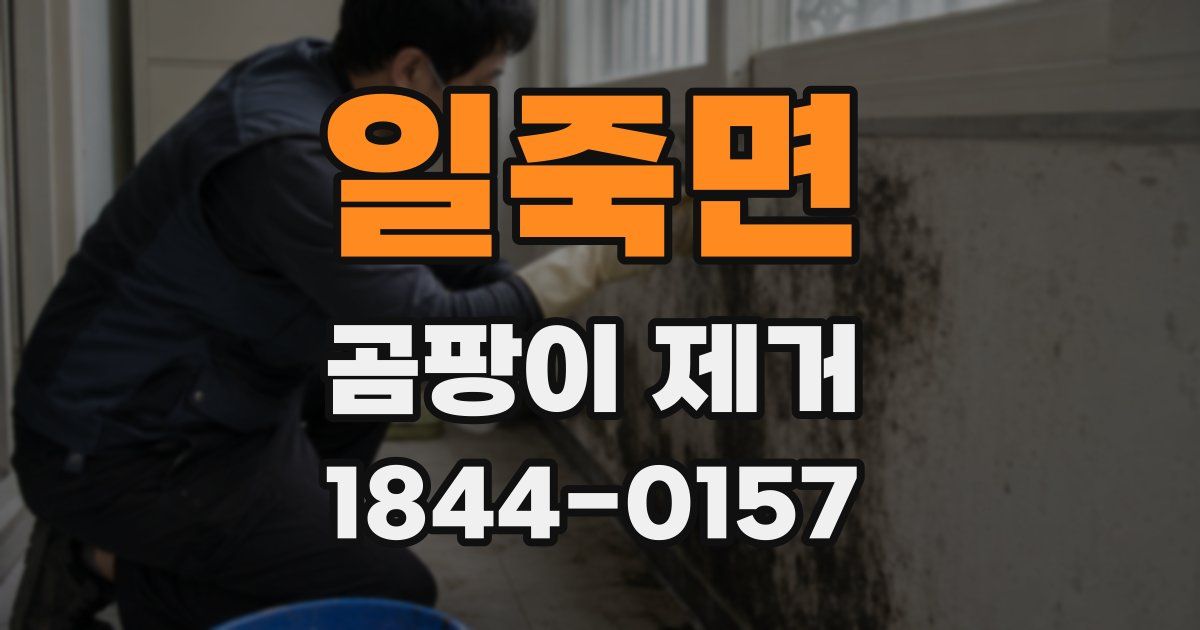 일죽면 곰팡이 제거
