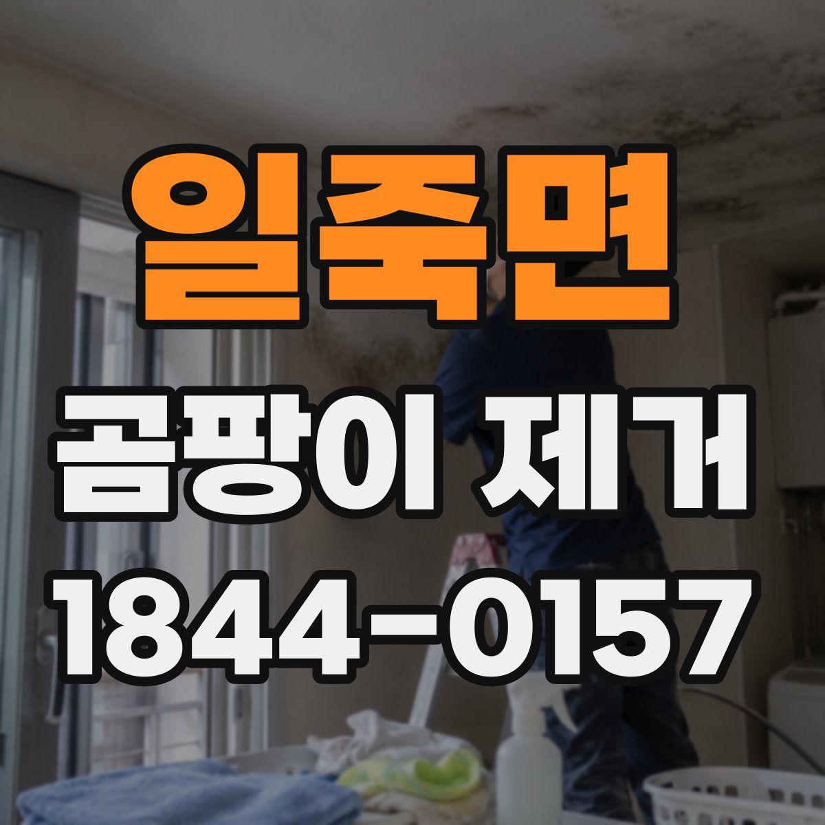 일죽면 곰팡이 제거