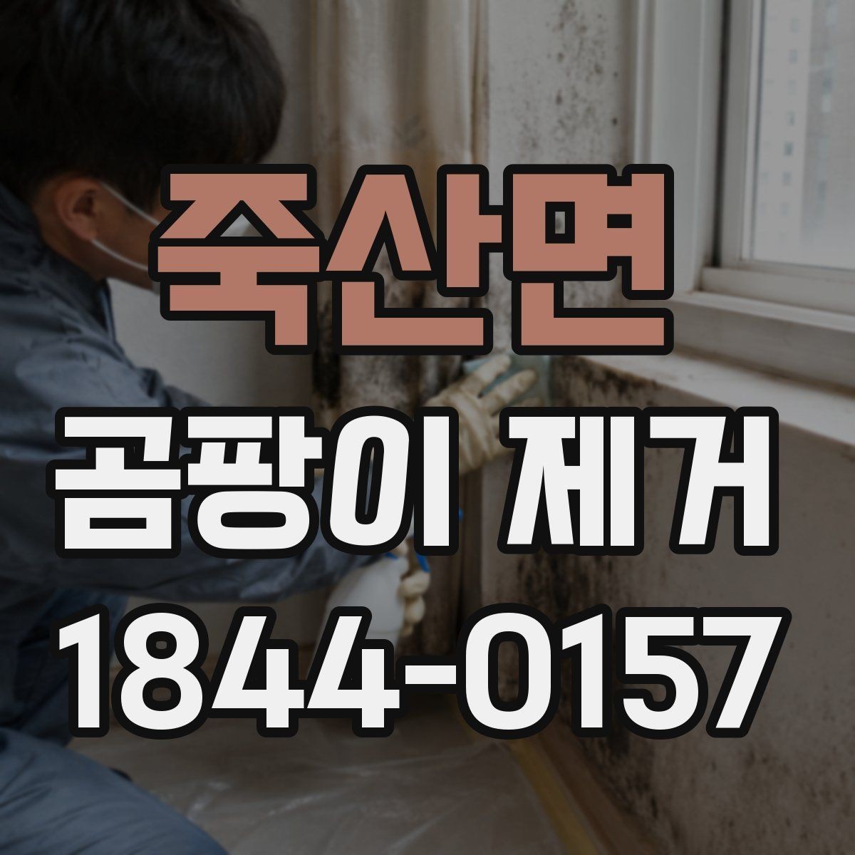 죽산면 곰팡이 제거 과정에서 자주 하는 실수