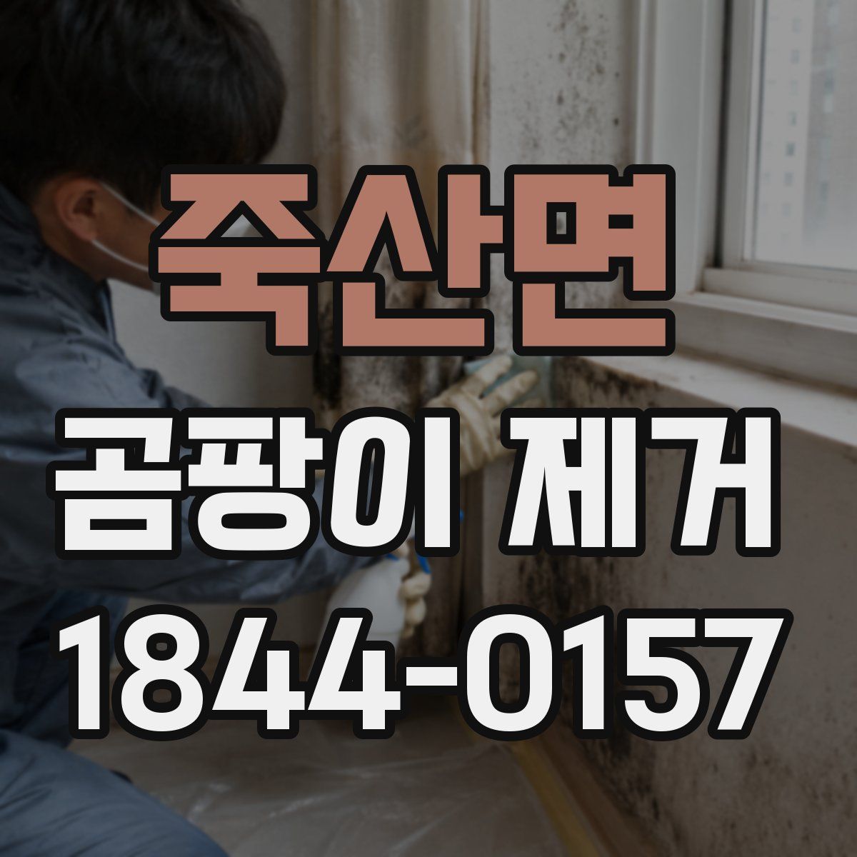 죽산면 곰팡이 제거