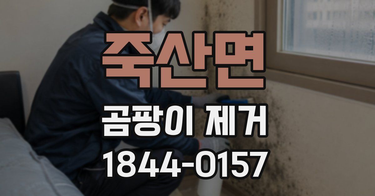 죽산면 곰팡이 제거