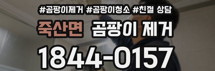 죽산면 곰팡이 제거