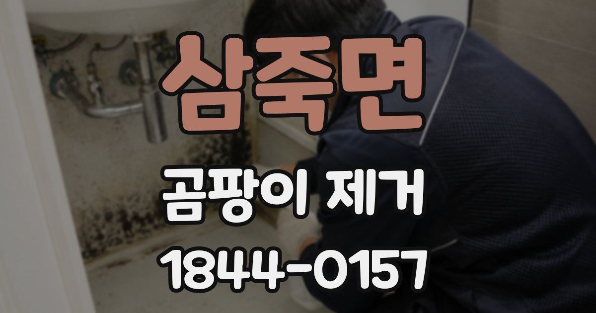 삼죽면 곰팡이 제거