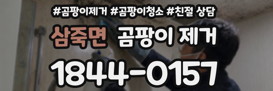 삼죽면 곰팡이 제거