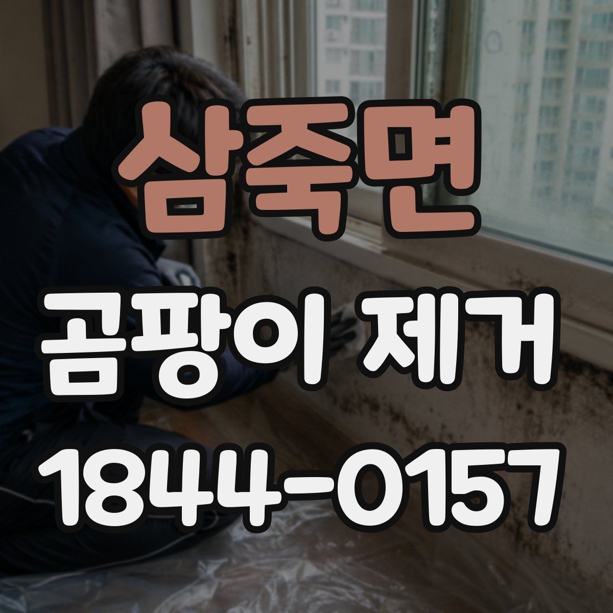 삼죽면 곰팡이 제거