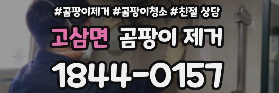 고삼면 곰팡이 제거