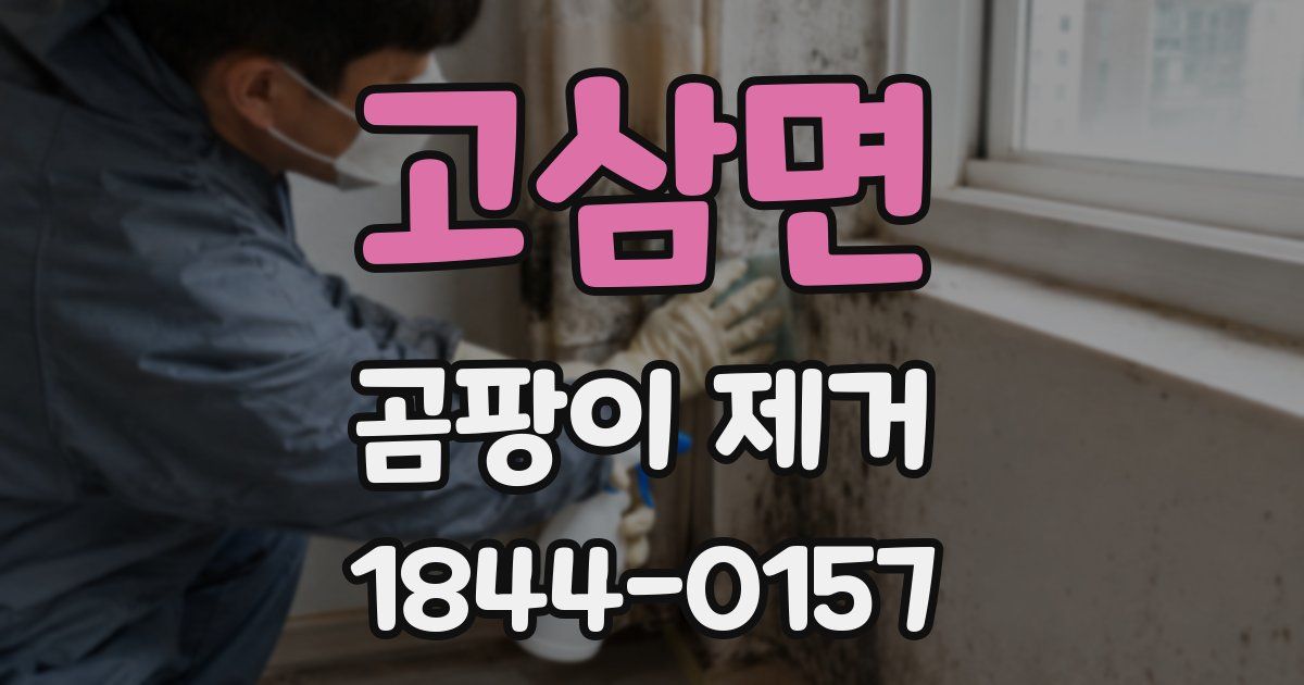 고삼면 곰팡이 제거