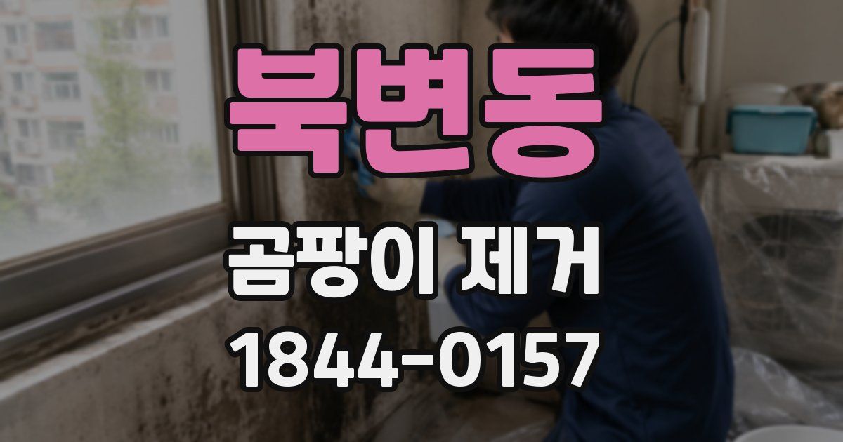 북변동 곰팡이 제거