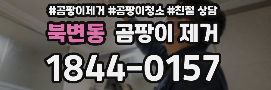 북변동 곰팡이 제거