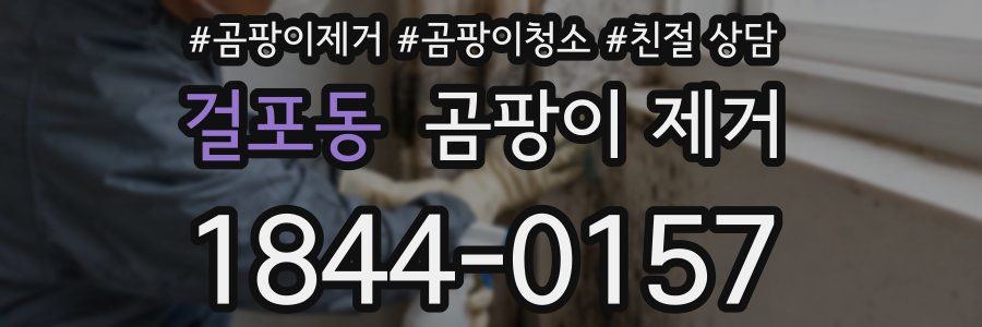 걸포동 곰팡이 제거