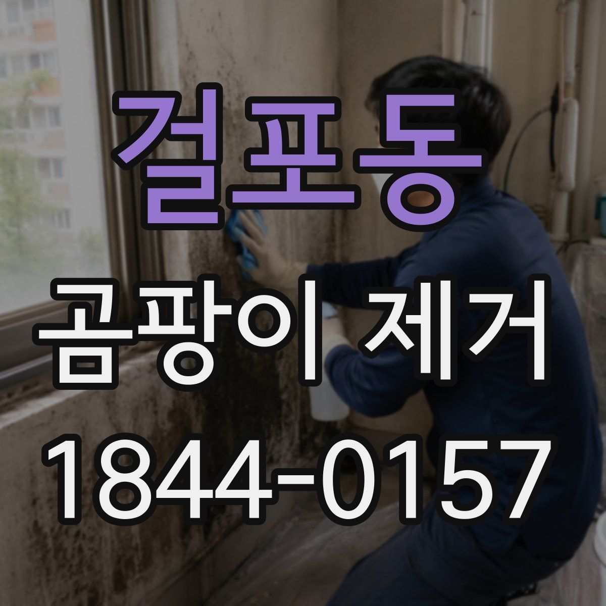 걸포동 곰팡이 제거