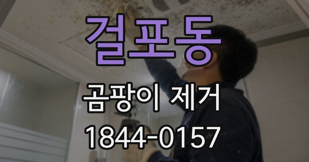 걸포동 곰팡이 제거