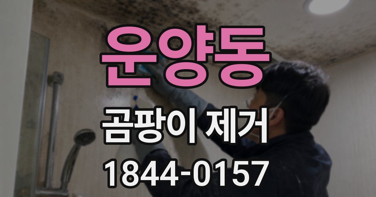 운양동 곰팡이 제거