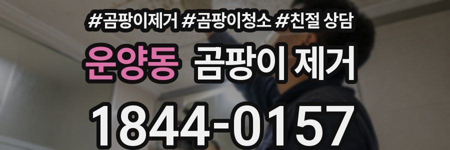 운양동 곰팡이 제거