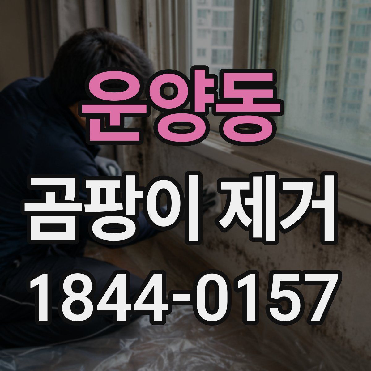 운양동 곰팡이 제거