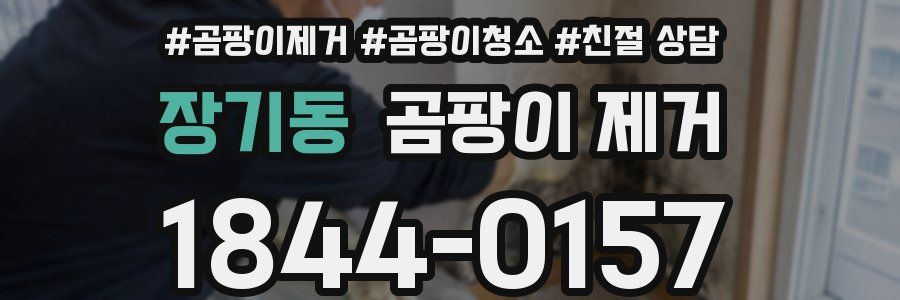 장기동 곰팡이 제거