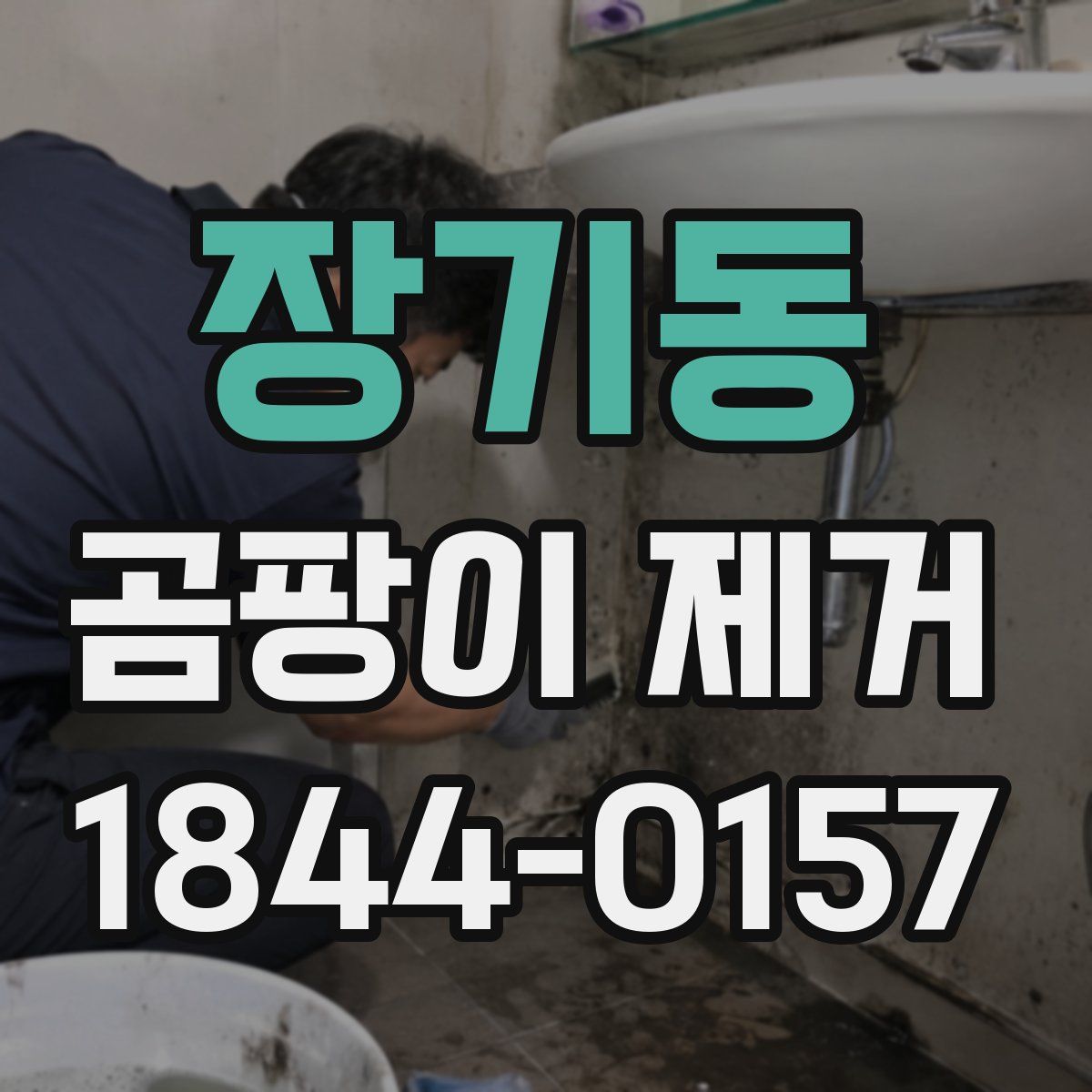 장기동 곰팡이 제거