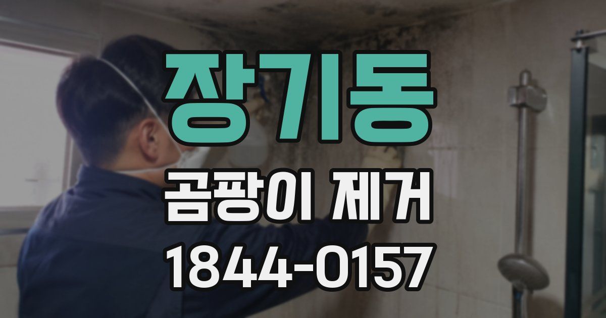 장기동 곰팡이 제거