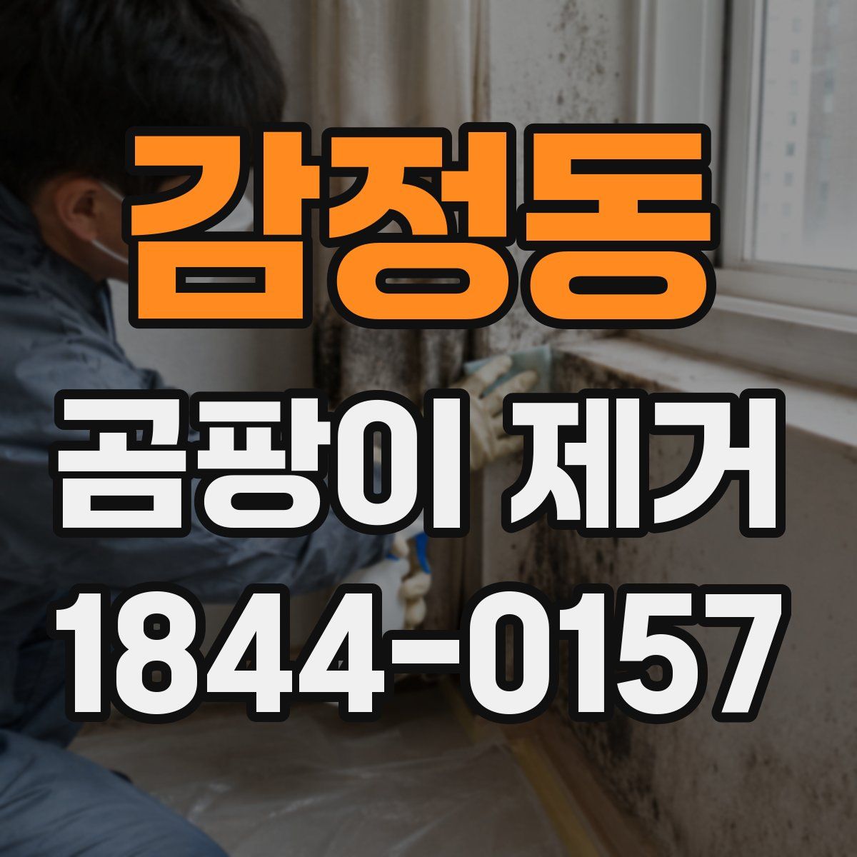 감정동 곰팡이 제거