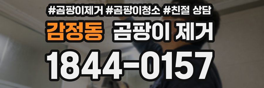 감정동 곰팡이 제거