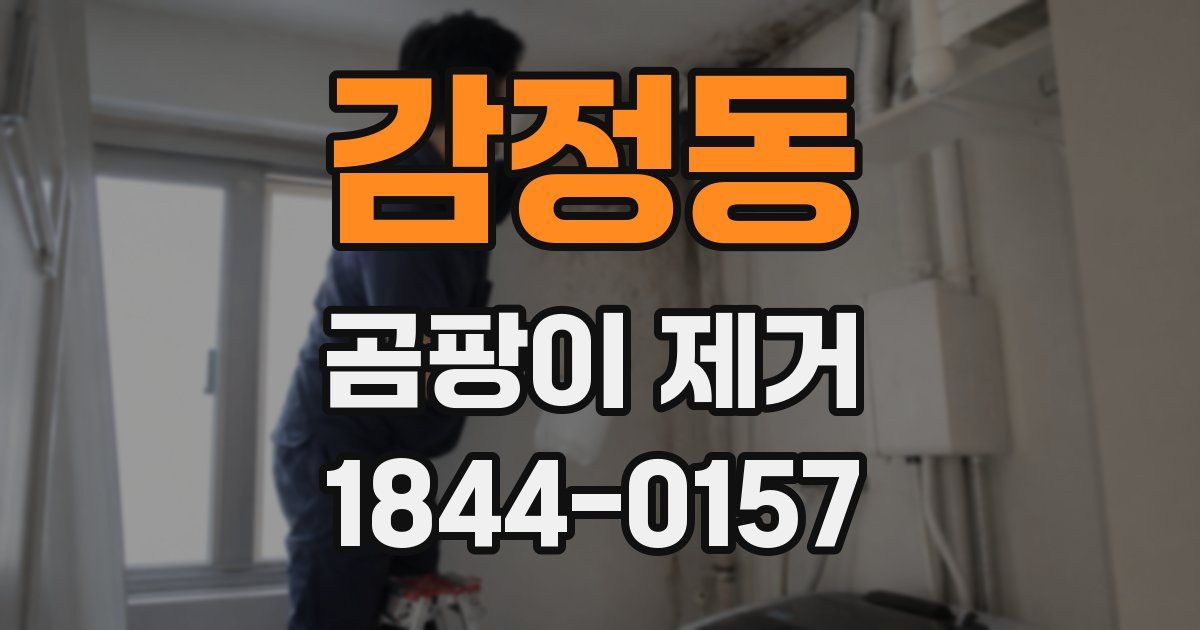 감정동 곰팡이 제거