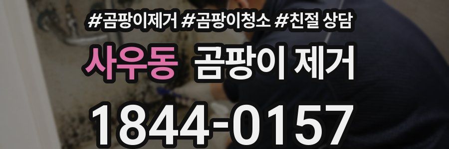 사우동 곰팡이 제거