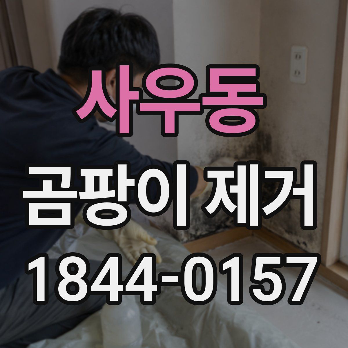 사우동 곰팡이 제거