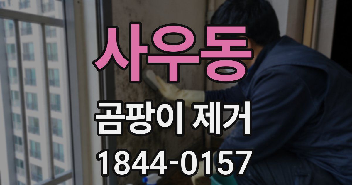사우동 곰팡이 제거