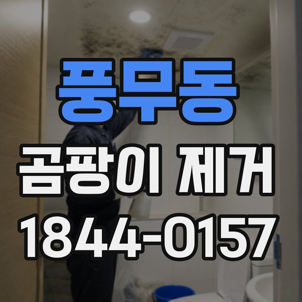 풍무동 곰팡이 제거