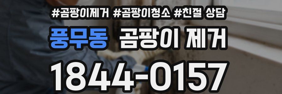 풍무동 곰팡이 제거