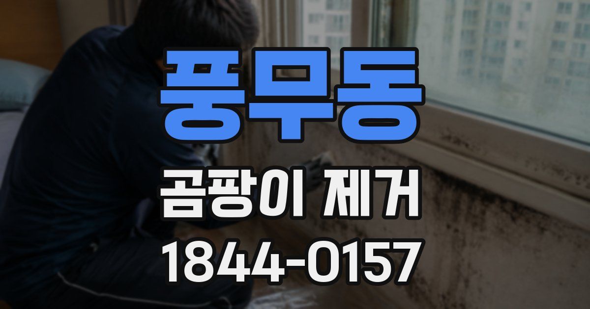 풍무동 곰팡이 제거